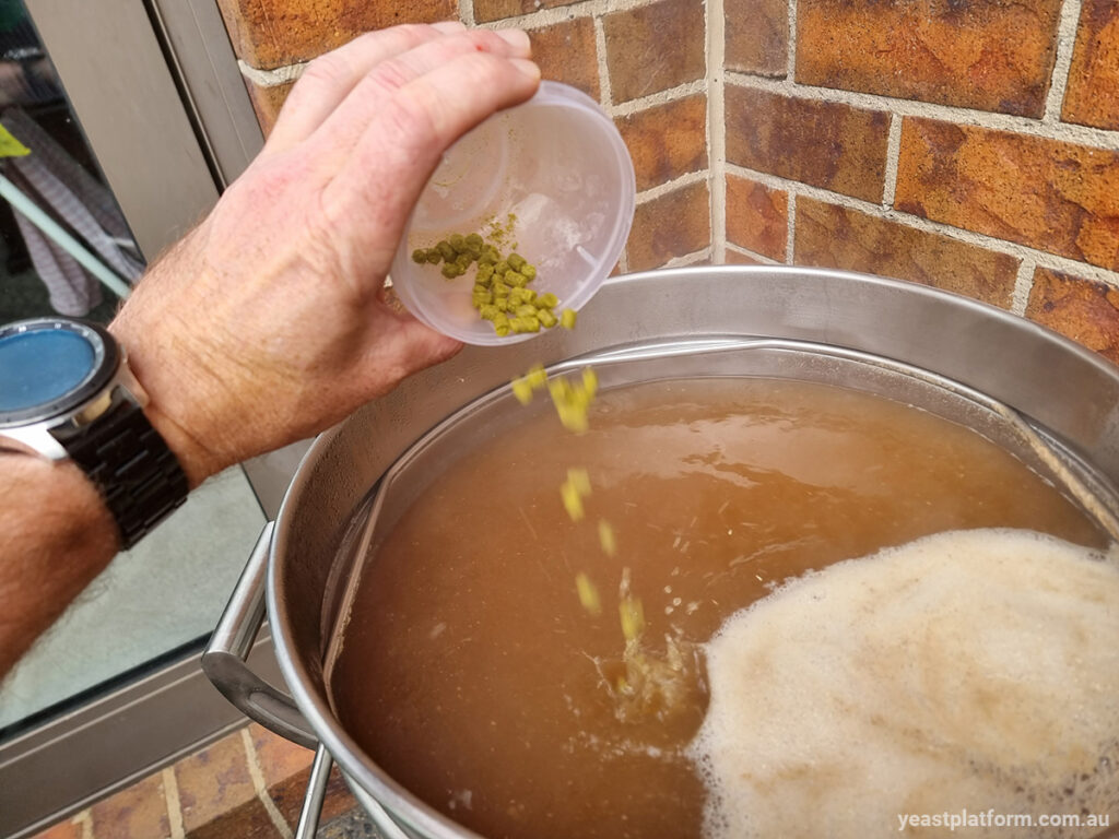 adding hops to home brew during boil stage