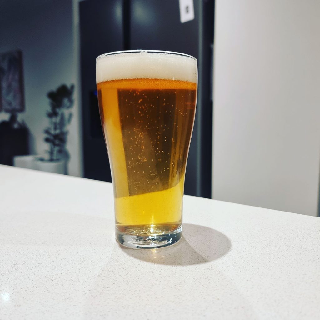lager beer in a glass